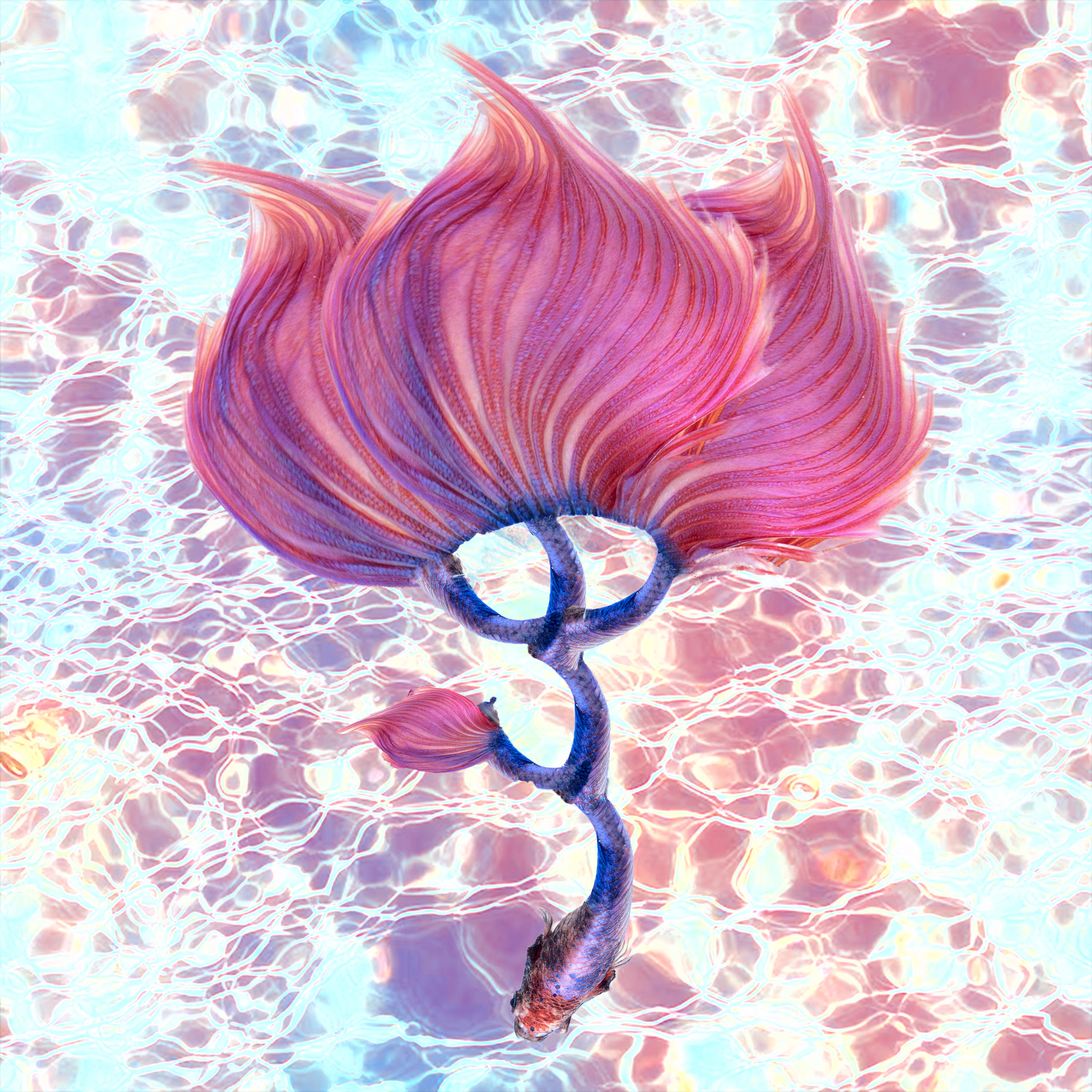 Vis Design